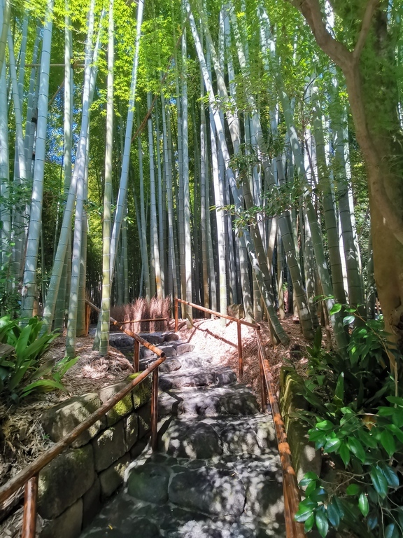 фото 9